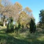 20141108_AufderHeid019_k