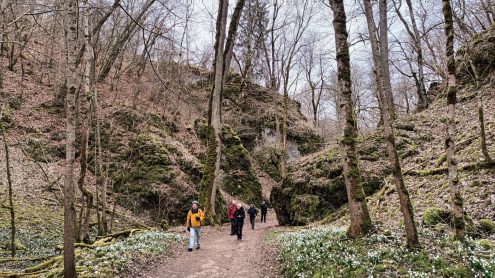 Wolfstal Wolfstal DS